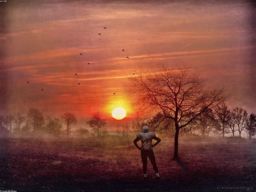 ការយល់ដឹងអំពីសិល្បៈចិត្តវិទ្យារបស់អ្នកលេង