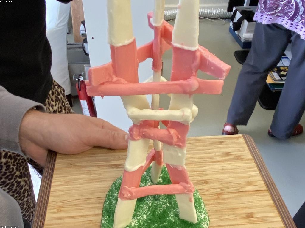 អត្ថប្រយោជន៍នៃការប្រកួតលើសង្គម