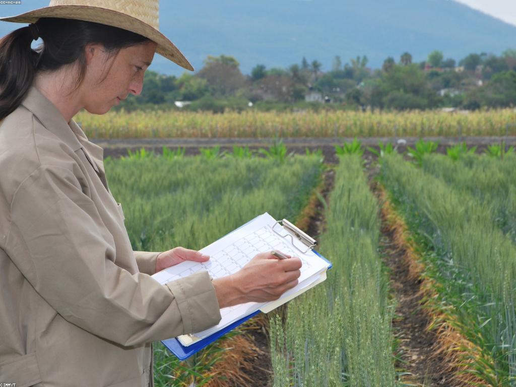 ដំណើរការវាយតម្លៃ