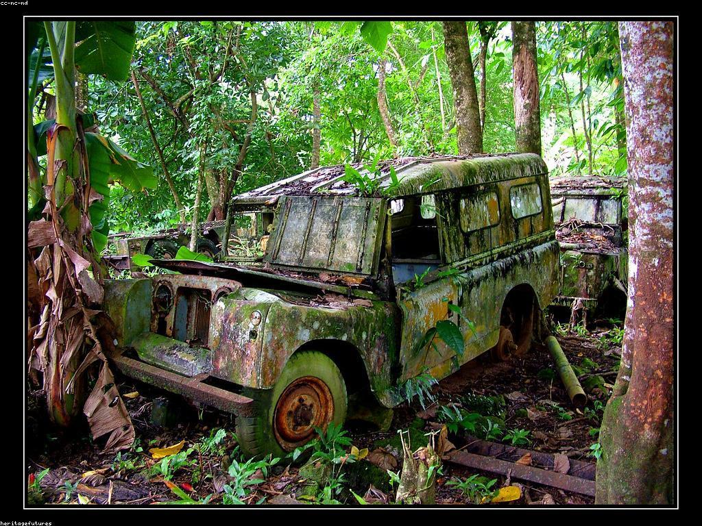 សារៈសំខាន់នៃការប្រកួតក្នុងការលូតលាស់ផ្ទាល់ខ្លួន