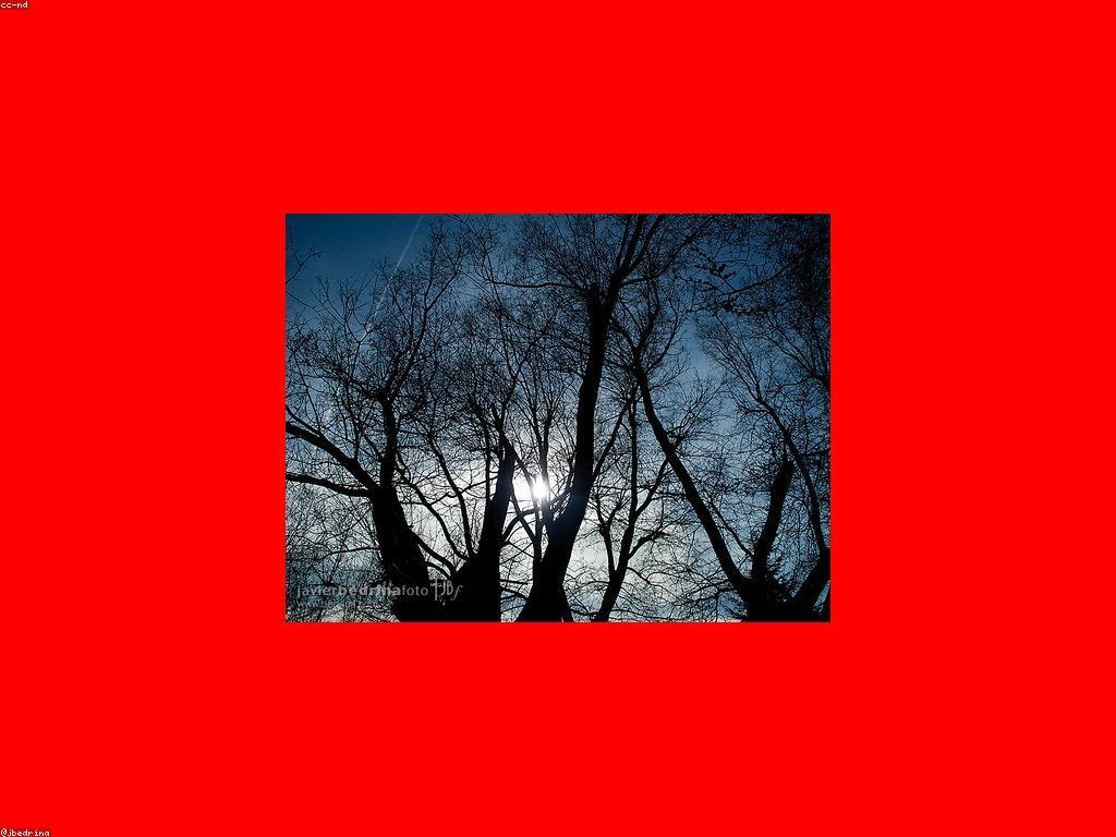 ស្លតកំពុងឈ្នះ៖ វិធីសាស្ត្រសំរាប់ការបង្កើនភាពជោគជ័យ